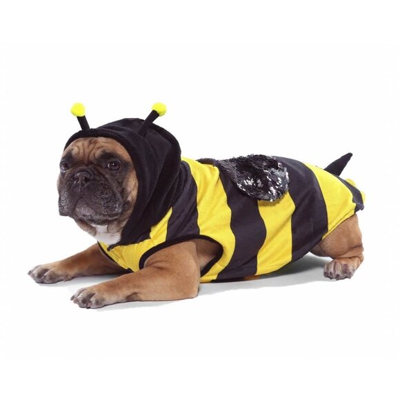 Vibrant Life Halloween Dog Costume and Cat Costume: Bumble Bee, Size Medium - Picture 2 of 6